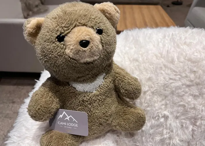 Apartamento Résidence Cami Réal ****